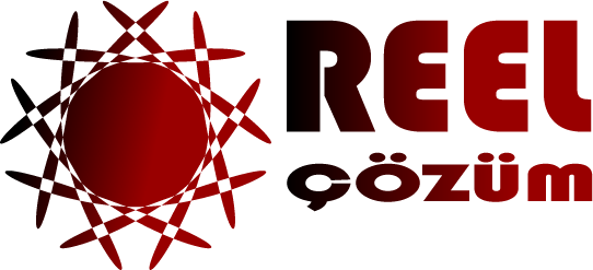 Mikro Entegrasyonu